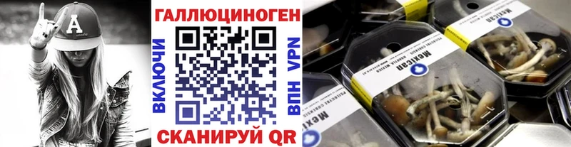 Галлюциногенные грибы мицелий  Купить  Баксан 